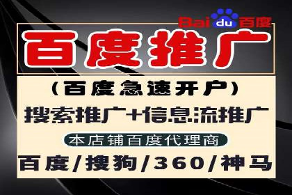 案例研究：百度推广托管助力电商品牌快速崛起